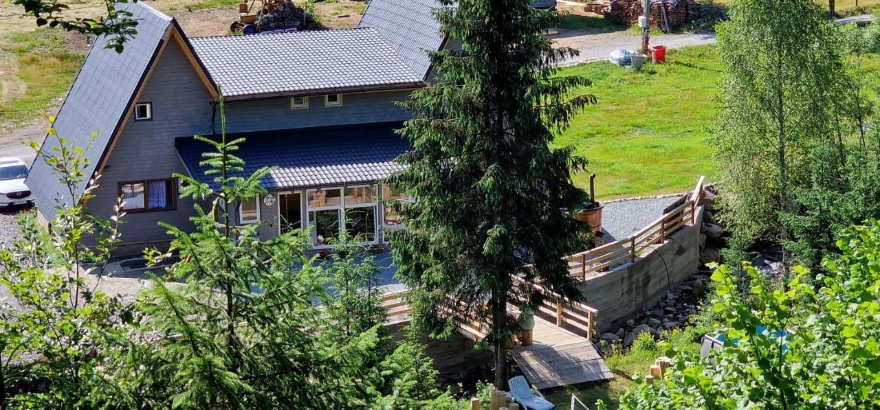 Cabana Din Vale Arieseni Apuseni Bagian luar foto