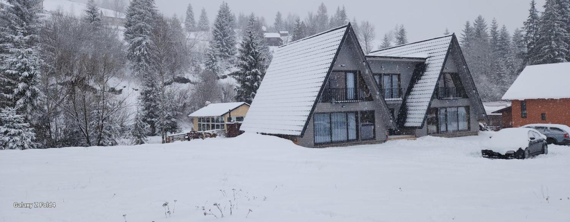 Cabana Din Vale Arieseni Apuseni Bagian luar foto