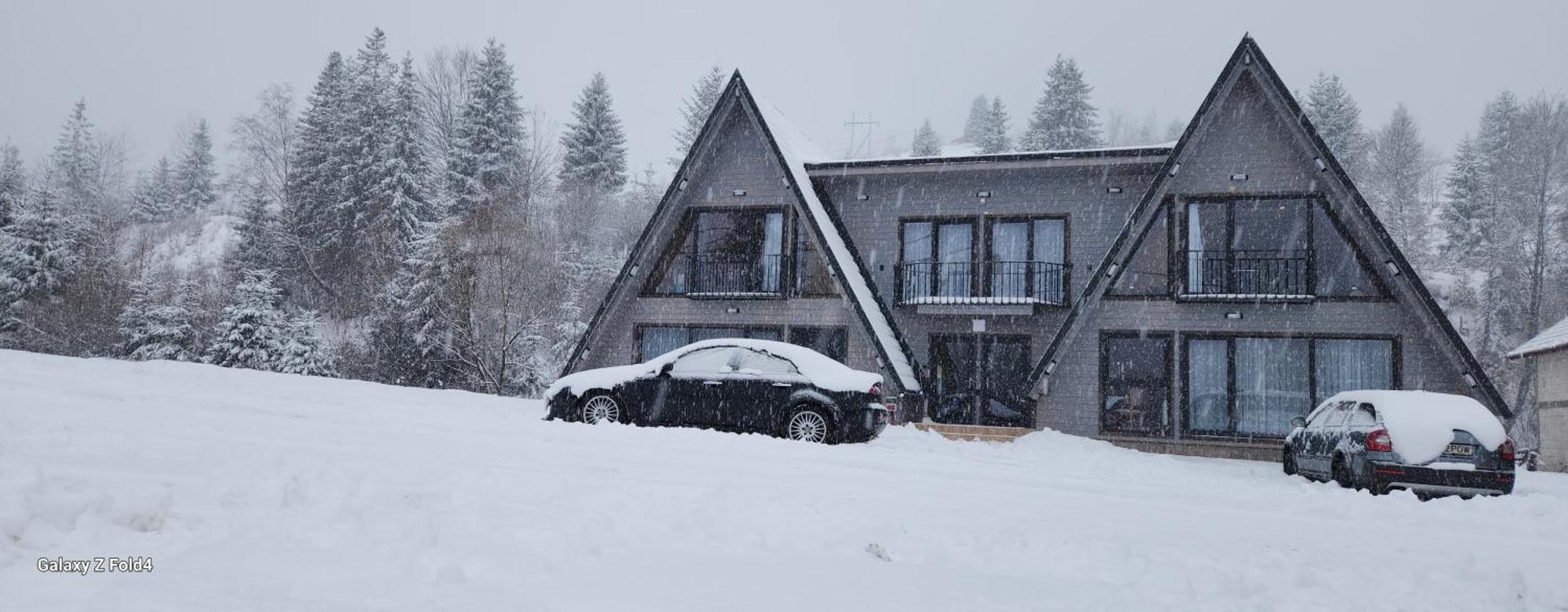 Cabana Din Vale Arieseni Apuseni Bagian luar foto