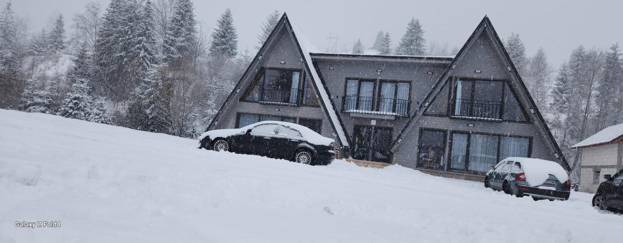 Cabana Din Vale Arieseni Apuseni Bagian luar foto