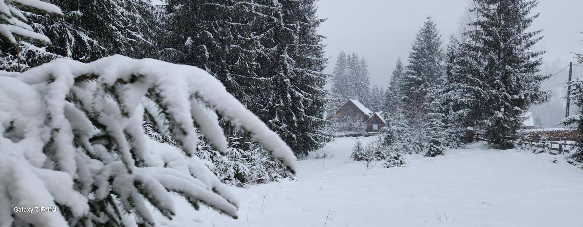 Cabana Din Vale Arieseni Apuseni Bagian luar foto