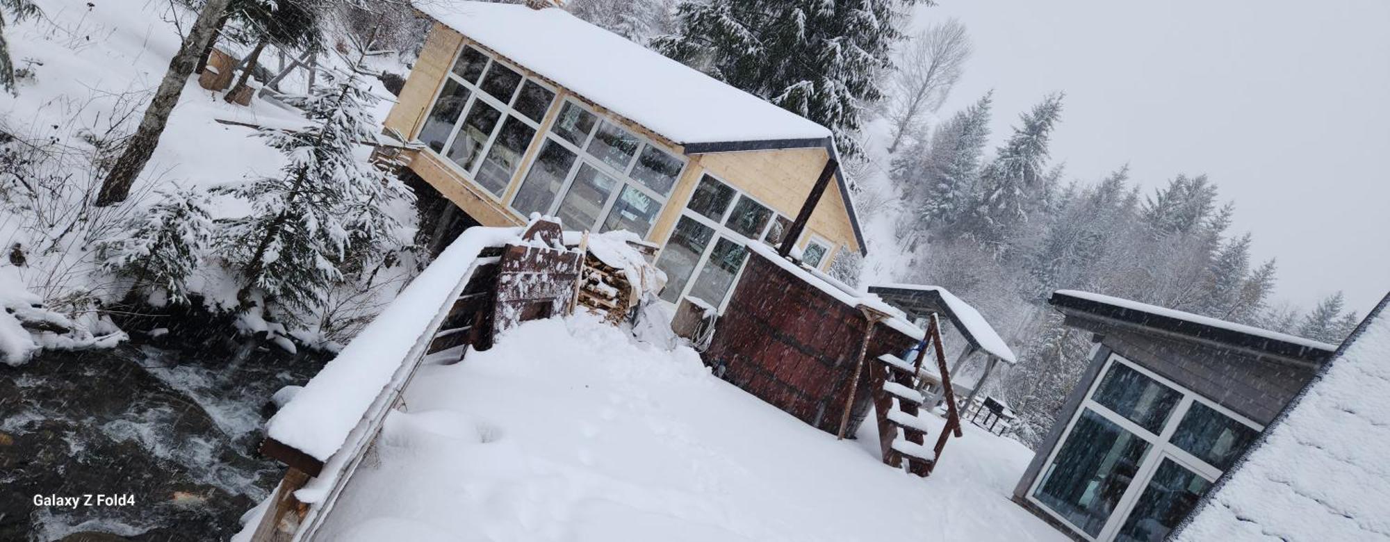 Cabana Din Vale Arieseni Apuseni Bagian luar foto
