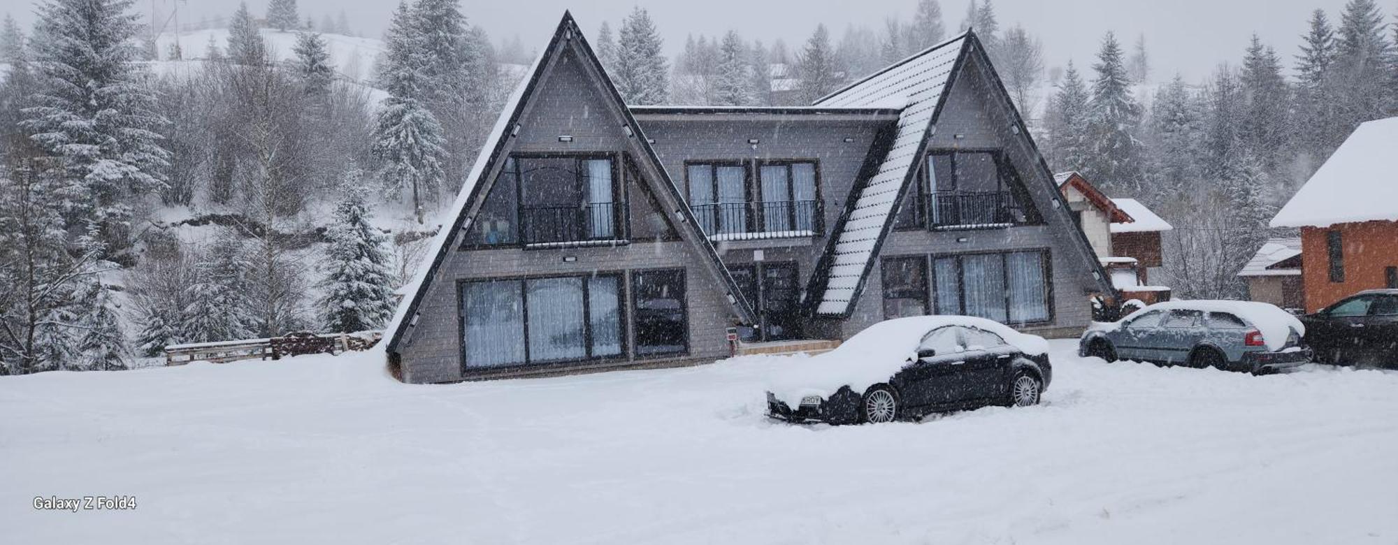 Cabana Din Vale Arieseni Apuseni Bagian luar foto