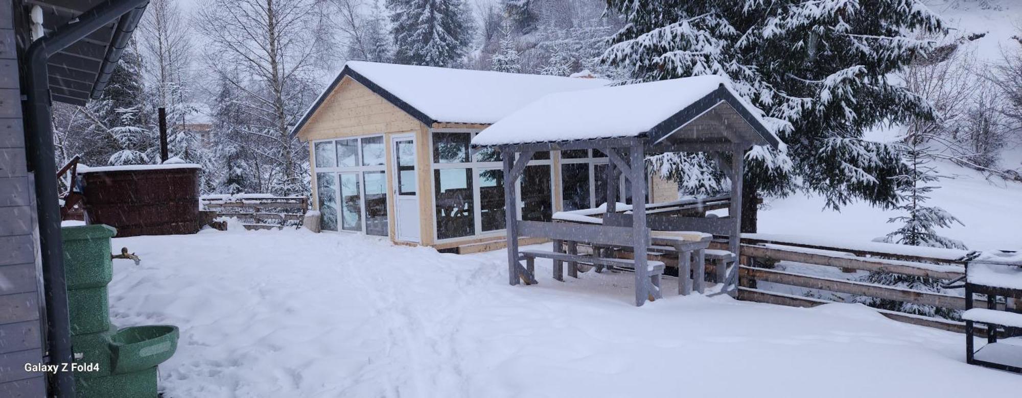 Cabana Din Vale Arieseni Apuseni Bagian luar foto