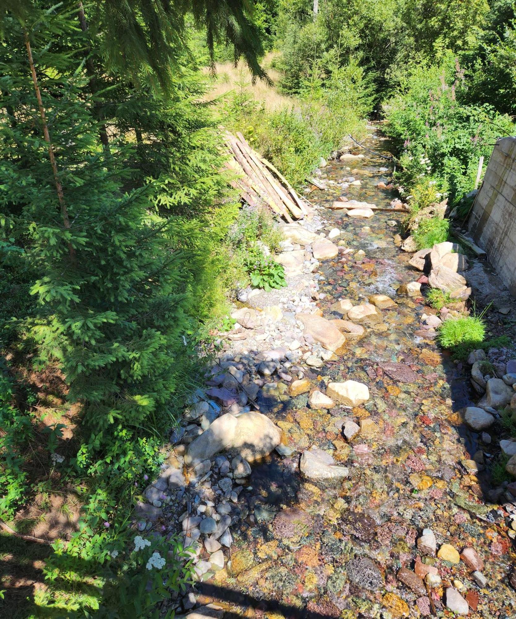 Cabana Din Vale Arieseni Apuseni Bagian luar foto