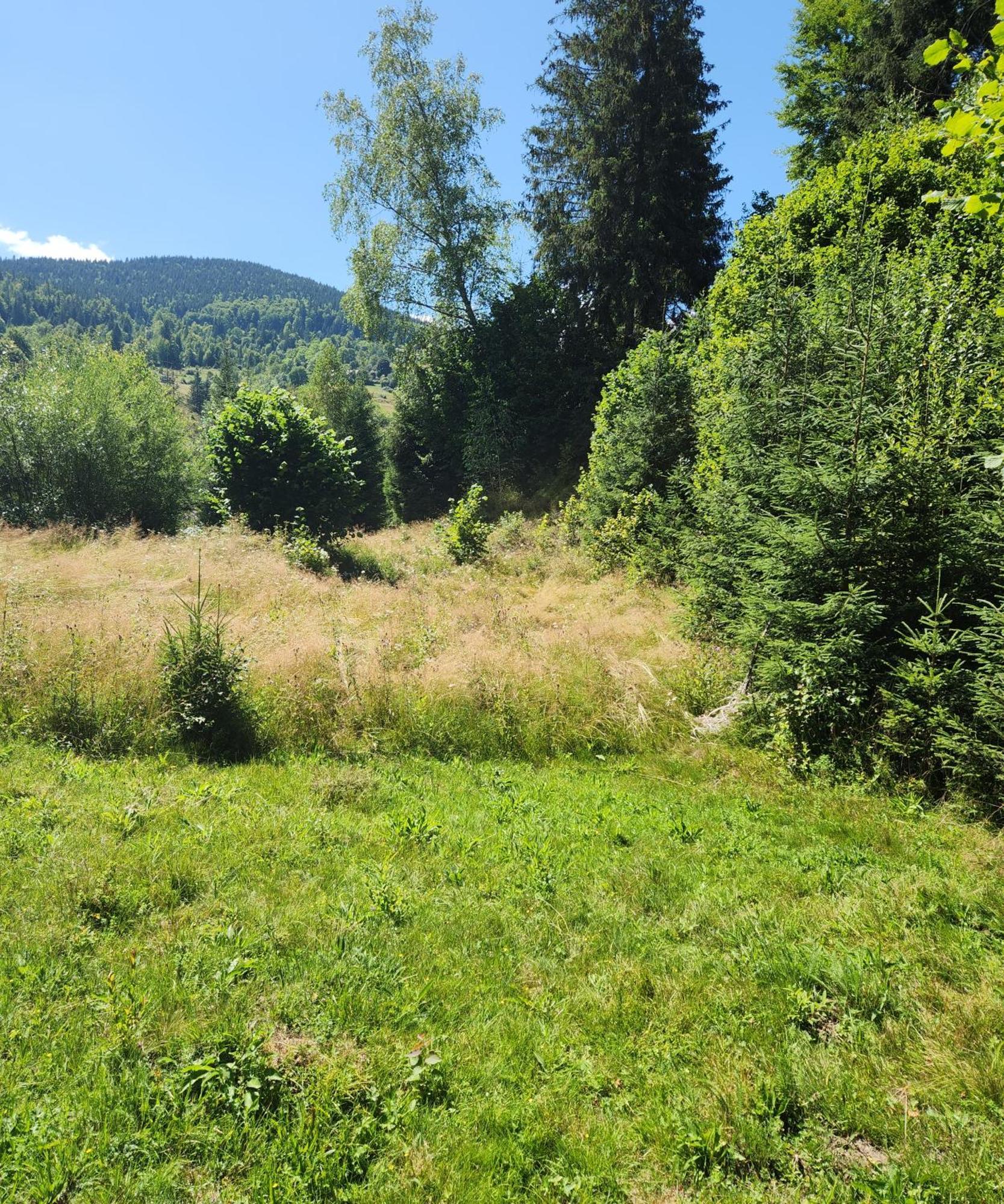 Cabana Din Vale Arieseni Apuseni Bagian luar foto
