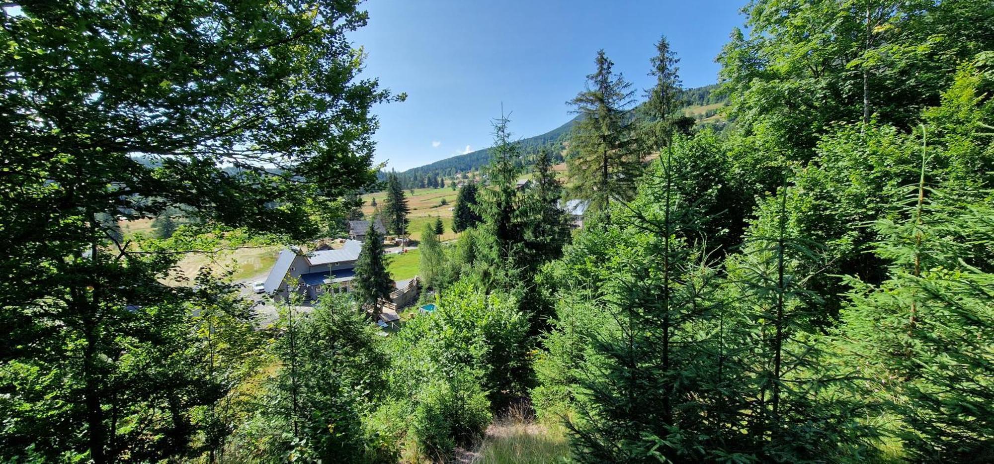 Cabana Din Vale Arieseni Apuseni Bagian luar foto